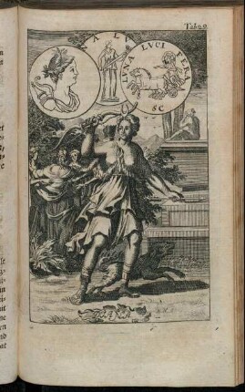 Tab. 29. Diana
