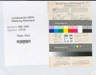 Entnazifizierung Paul Peter, geb. 28.03.1891 (Landesinspektor)