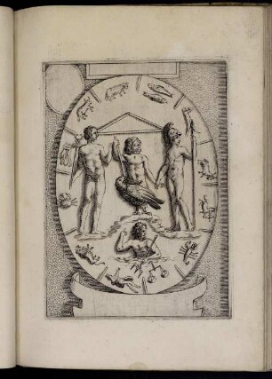 [Abbildung XXVI- XXX]