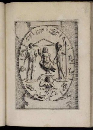 [Abbildung XXVI- XXX]