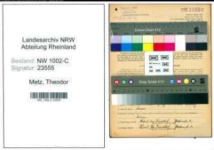 Entnazifizierung Theodor Metz, geb. 21.11.1892 (Kaufmann)