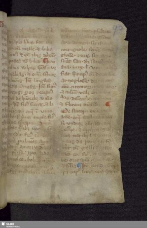 Faszikel II