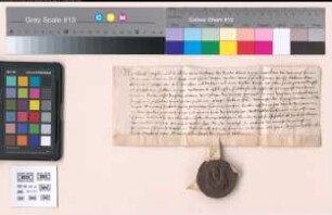 Mit früherer darauf bezüglicher Urkunde von 1551 Februar 20.