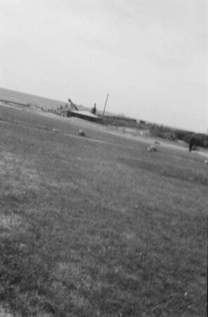 Hoek van Holland : Flache Dünen-Graslandschaft