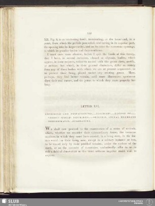 Letter XVI. Encrinites and pentacrinites ... Trochites ... History of ... Various species described ... Original animal membrane demonstrated ... Screw-stone
