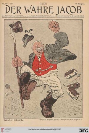 Nr. 807 (1917)