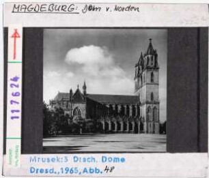 Magdeburg, Dom: Ansicht von Norden
