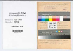 Entnazifizierung Karl Witschel, geb. 13.01.1902 (Zollbeamter)