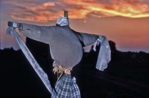 Die Vogelscheuche ist eine in der Regel menschenähnliche Figur aus Holzstangen und alten Kleidungsstücken, die durch ihre Silhouette und Bewegungen im Wind Vögel, beispielsweise Stare und Krähen, von Feldern oder Gärten fernhalten soll