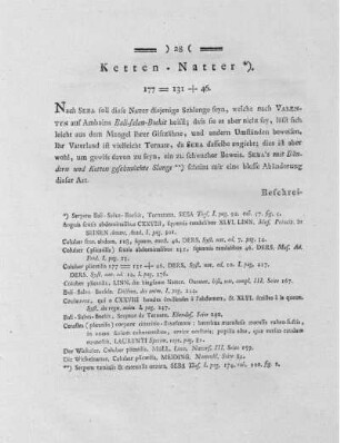 Ketten-Natter.