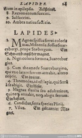 LAPIDES.