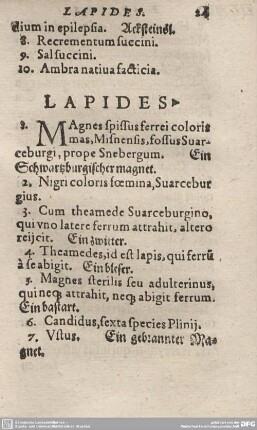 LAPIDES.