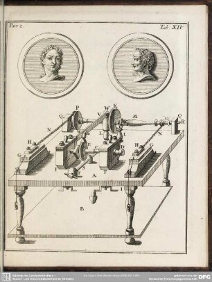 Pars. 2. Tab. XIV.