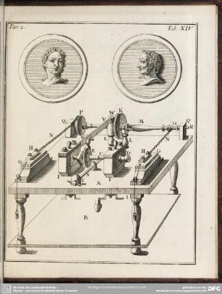 Pars. 2. Tab. XIV.