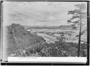 Papstdorf mit Kiefer