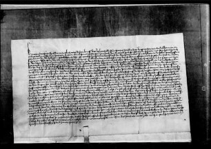 Berthold Stör genannt Zenslin (!) von Kuppingen reversiert.