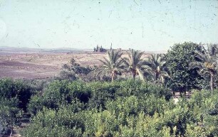 Latrun Bl. V. Trapp. K. auf Toron d. Chir [?]