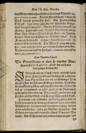Das Neundte Capitel.