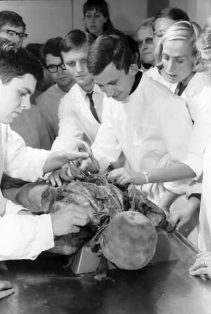 Freiburg: Medizinstudenten beim Sezieren, im Hörsaal der Anatomie