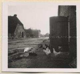 Malchow, Landgut-Hof, Landwirtschaftlicher Betrieb