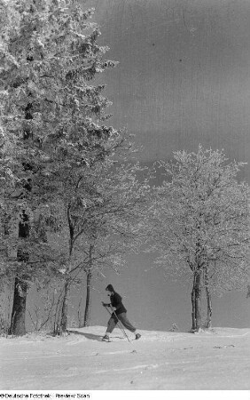 Winterlandschaft mit Skifahrer