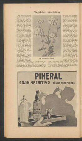Vegetales insecticidas