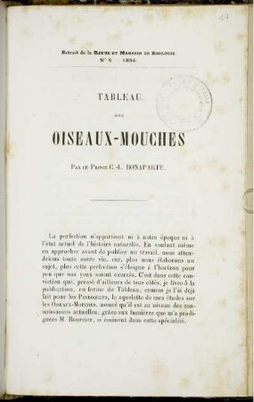 Tableau Des Oiseaux-Mouches