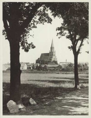 Blick auf Treptow an der Rega (heute Trzebiatów, Polen). Im Bildhintergrund die Marienkirche, eine dreischiffige Hallenkirche; im 14. Jh. im Stil der Backsteingotik errichtet. (bis 1945 evangelische Stadtpfarrkirche; ab 1945 katholische Pfarrkirche). Im Vordergrung eine von Bäumen gesäumte Allee