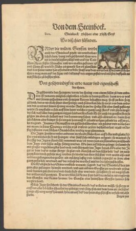 Von dem Steinbock. Ibex. Steinbock/ Ybschen/ oder Ybsch Geyß
