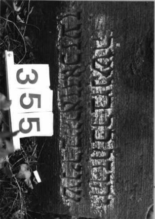 Grabstein 355 (Index: 99803558) Material: Sandstein Zustand: stark verwitt/eingesunk/Textverlust Maße HxBxT: 53x57x10 cm Beschreibung: Stele mit Karniesbogen und profiliertem Rand, Giebelfeld: Grabstein 355 (Detailaufnahme)