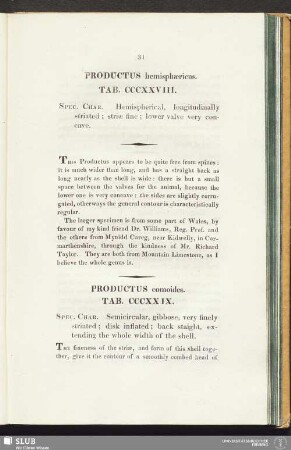 Productus comoides. Tab. CCCXXIX