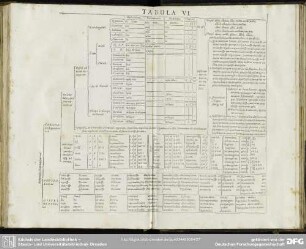 Tabula VI.