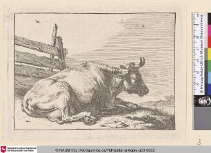 [Eine liegende Kuh an einem Zaun; The Cow Lying Down Near a Fence]