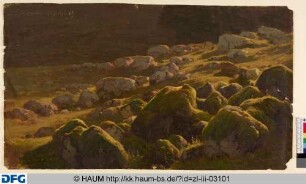 Landschaft mit Moosbewachsenen Steinen