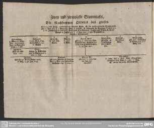 Zwey und zwanzigste Stammtafel, Die Nachkommen Ottonis des grosen