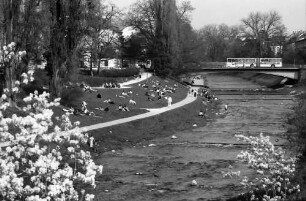 Freiburg: Lagernde an der Dreisam, von der Kronenbrücke