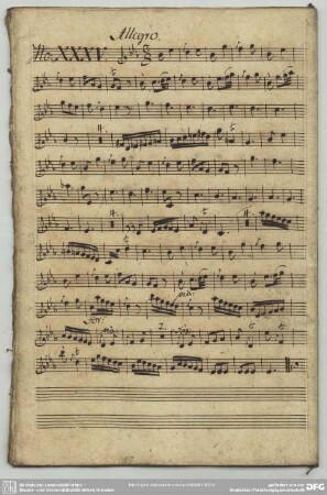 35. Graun, Johann Gottlieb, Sinfonien, GraunWV A:XII:14 