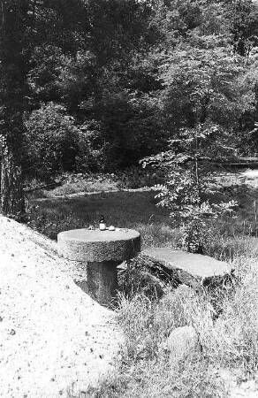 Hochkirch-Niehten. Ehem. Knochenmühle, Mühlsteintisch Rest der Mühle