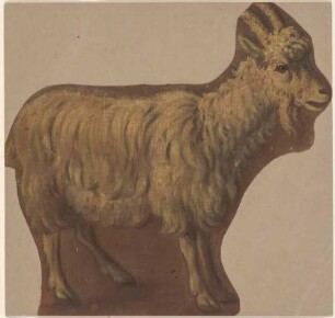 Ziegenbock nach rechts