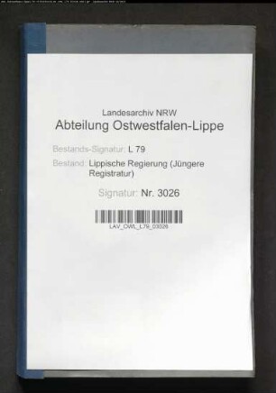 Rechnungen der Heil- und Pflegeanstalt Lindenhaus