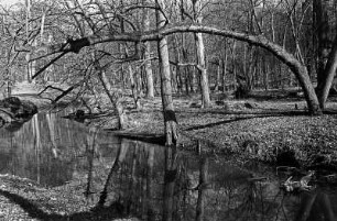 In Görlsdorf an der Welse