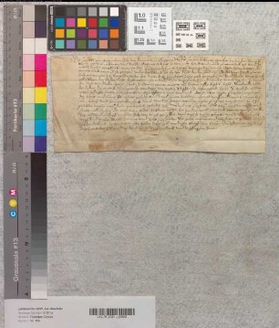 Abt Kaspar von Corvey belehnt einen Einwohner von Godelheim mit einer Rodung daselbst.