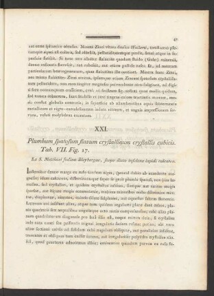 XXI. Plumbum spatosum flavum crystallinum crystallis cubicis. Tab. VII. Fig. 17