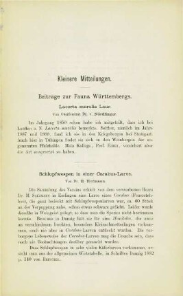 Beiträge zur Fauna Württembergs. Lacerta muralis Laur (v. Nördlinger)