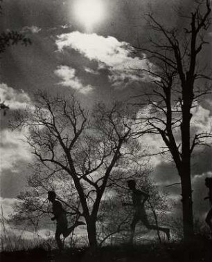 "runners in woods" (Junior Bazaar)