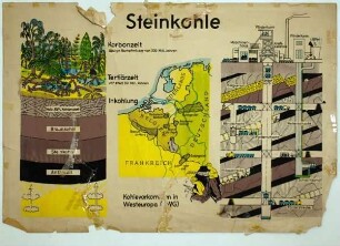 Steinkohle