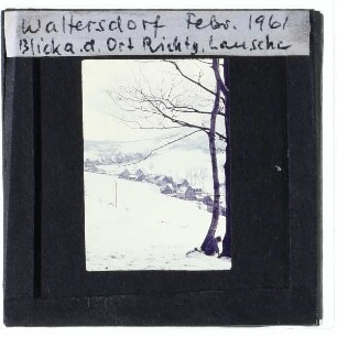 Lausche