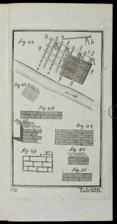 Tab. XIII. fig. 44 - fig. 51.