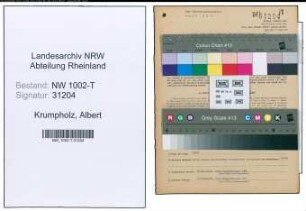 Entnazifizierung Albert Krumpholz , geb. 25.09.1892 (Techn.Inspektor)