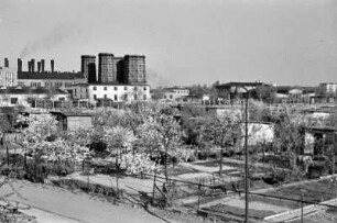 Berlin, Kleingartenanlage im Hintergrund Kraftwerk
